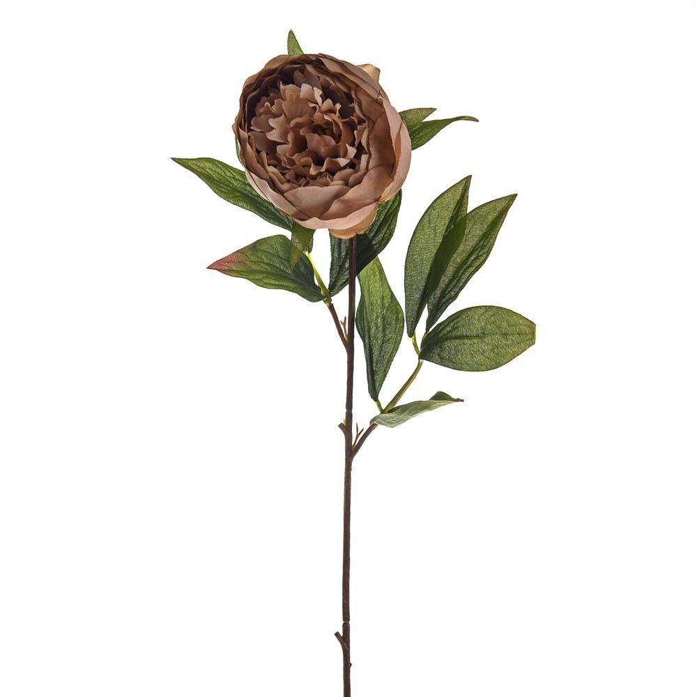 Amelia Peony Stem Caramel 63Cm