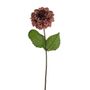 Amelia Zinnia Stem Russet 46Cm