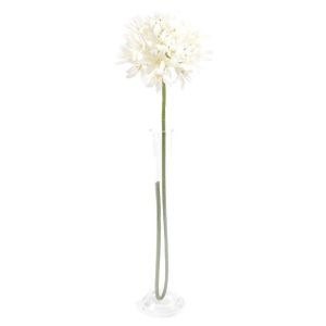 Agapanthus Cream 87Cm