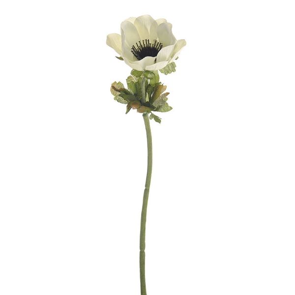 ANEMONE SINGLE STEM CREAM 35CM