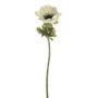 ANEMONE SINGLE STEM CREAM 35CM