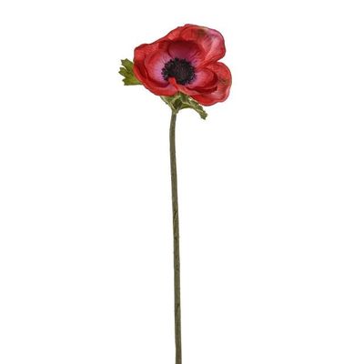 Anemone Stem Red