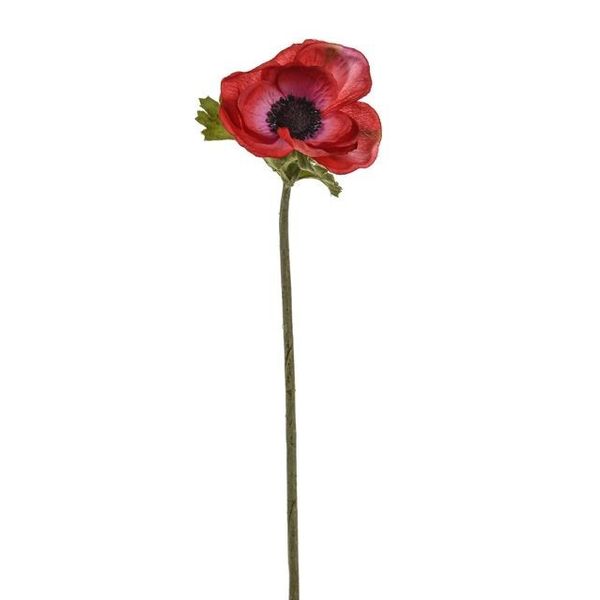 Anemone Stem Red