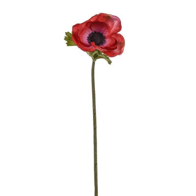 Anemone Stem Red