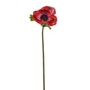 Anemone Stem Red