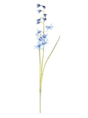 Bluebell 38Cm