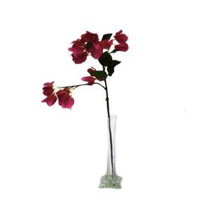 Bougainvillaea Spray Pink