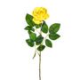 Premium Rose Medium Yellow 69C
