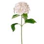 Luna Hydrangea Coral 75Cm