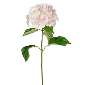 Luna Hydrangea Coral 75Cm