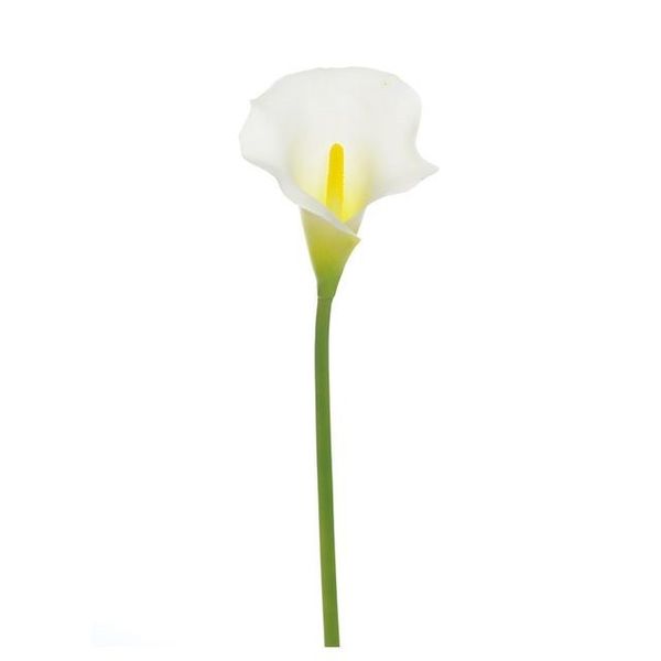 Calla Lily Cream Med Head 66Cm