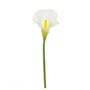 Calla Lily Cream Med Head 66Cm
