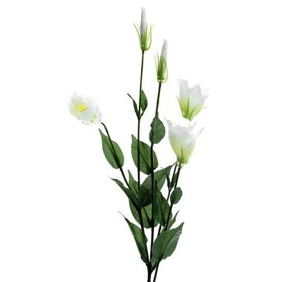 Lisianthus Spray X5 Ivory