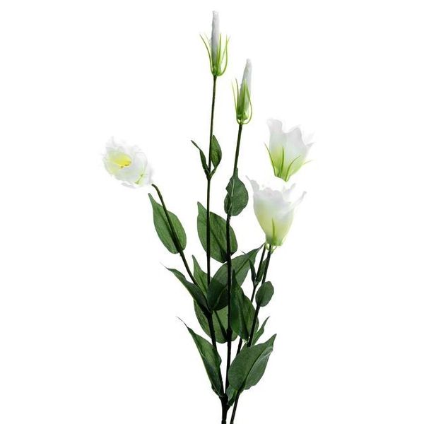 Lisianthus Spray X5 Ivory