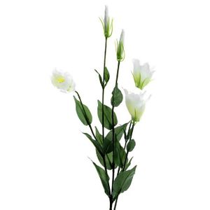Lisianthus Spray X5 Ivory