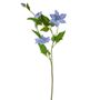 Elsa Clematis Pale Blue 79Cm