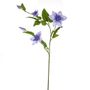 Elsa Clematis Lilac 79Cm