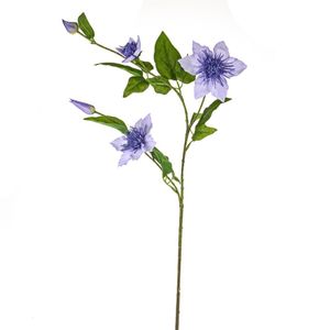 Elsa Clematis Lilac 79Cm