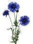 Cornflower Spray Blue 65Cm