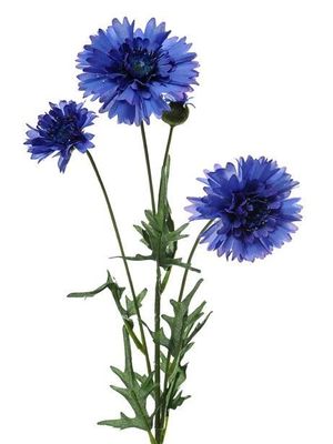 Cornflower Spray Blue 65Cm