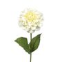 Zinnia Cream 46Cm