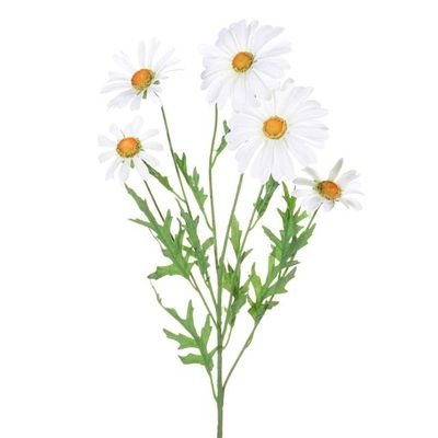 Daisy Spray White 66Cm