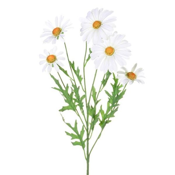 Daisy Spray White 66Cm