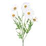 Daisy Spray White 66Cm
