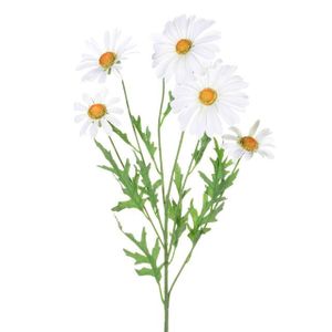 Daisy Spray White 66Cm