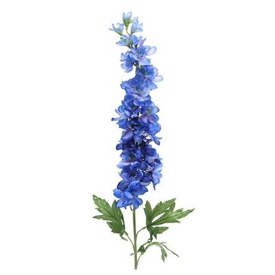 Delphinium Blue 86Cm