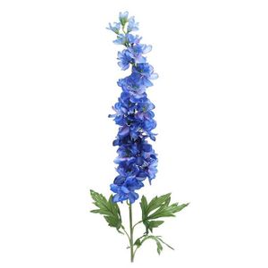 Delphinium Blue 86Cm