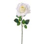 Luna Rose Ivory 64Cm