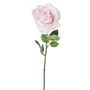 Luna Rose Pink 64Cm