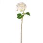 Fiesta Rose Cream 47Cm