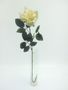 Premium Rose Large Cream