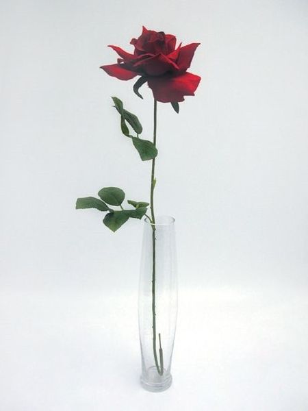 Premium Rose Large Red
