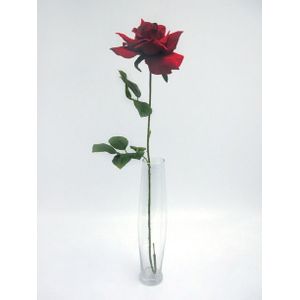 Premium Rose Large Red