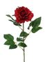 Premium Rose Medium Red
