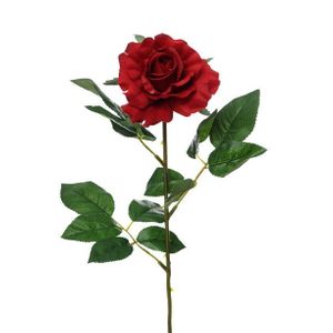 Premium Rose Medium Red
