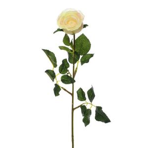 Precious Rose Bud Cream