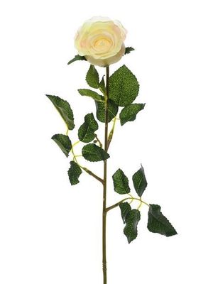 Precious Rose Bud Cream