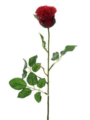 Precious Rose Bud Red