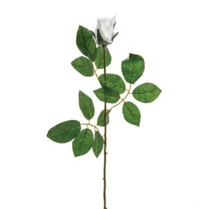 Premium Rose Bud White