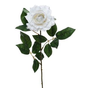Premium Rose Medium White