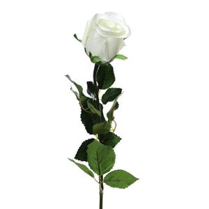 Prize Rose Bud Cream