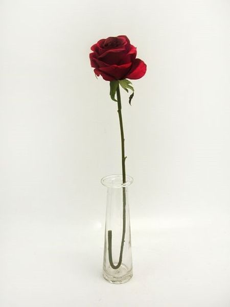Prize Rose Med Red