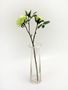 Prize Rose Spray Green