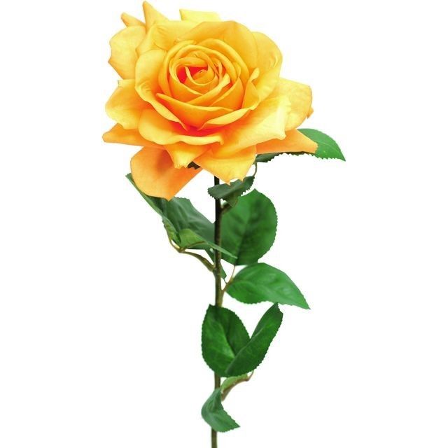Rose Pippa Open Orange 68Cm