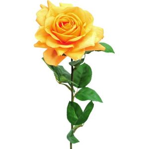 Rose Pippa Open Orange 68Cm