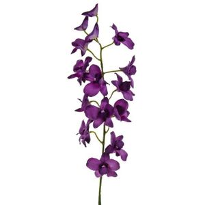Orchid Dendrobium Purple 82Cm